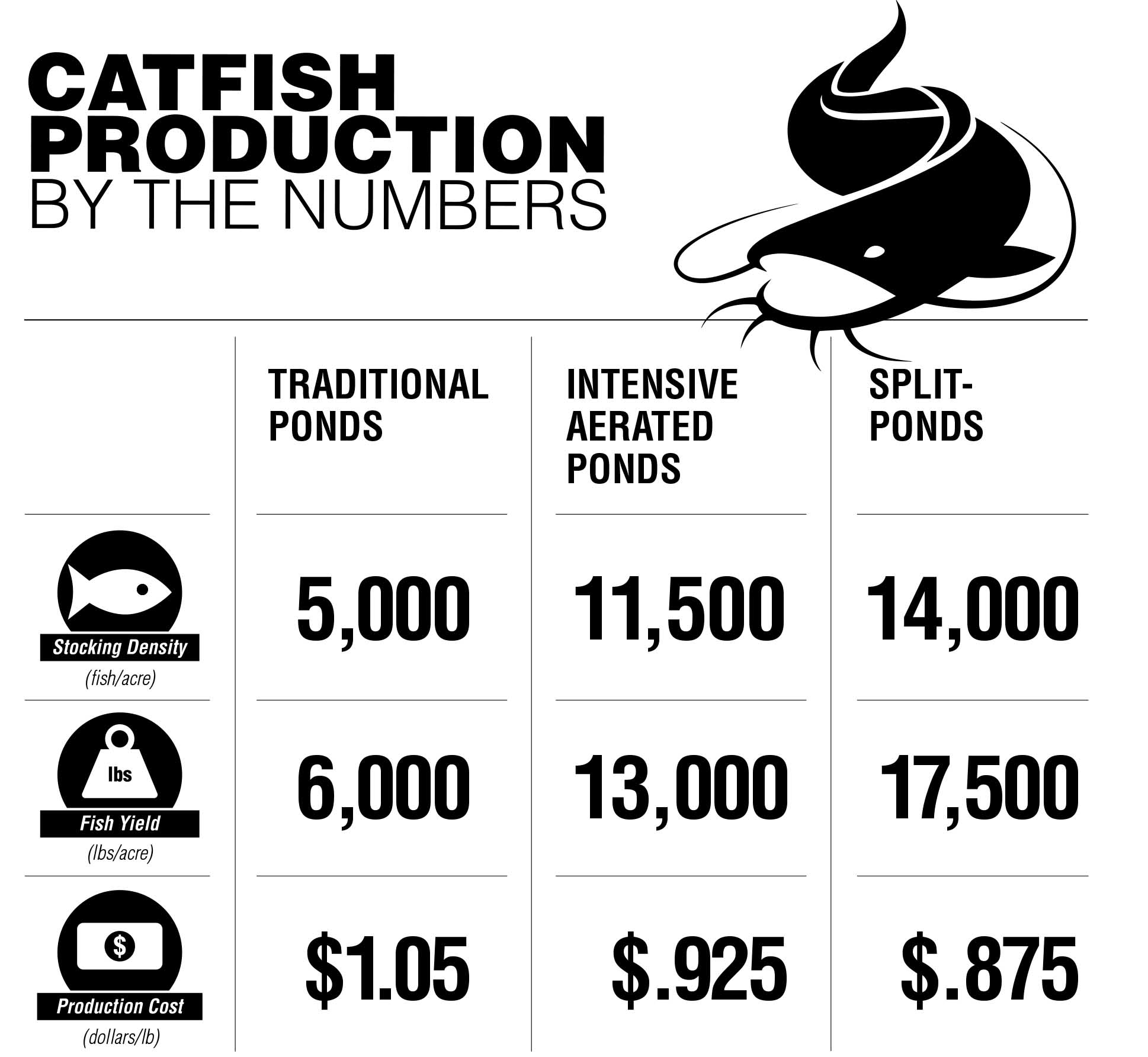 Catfish Production By The Numbers