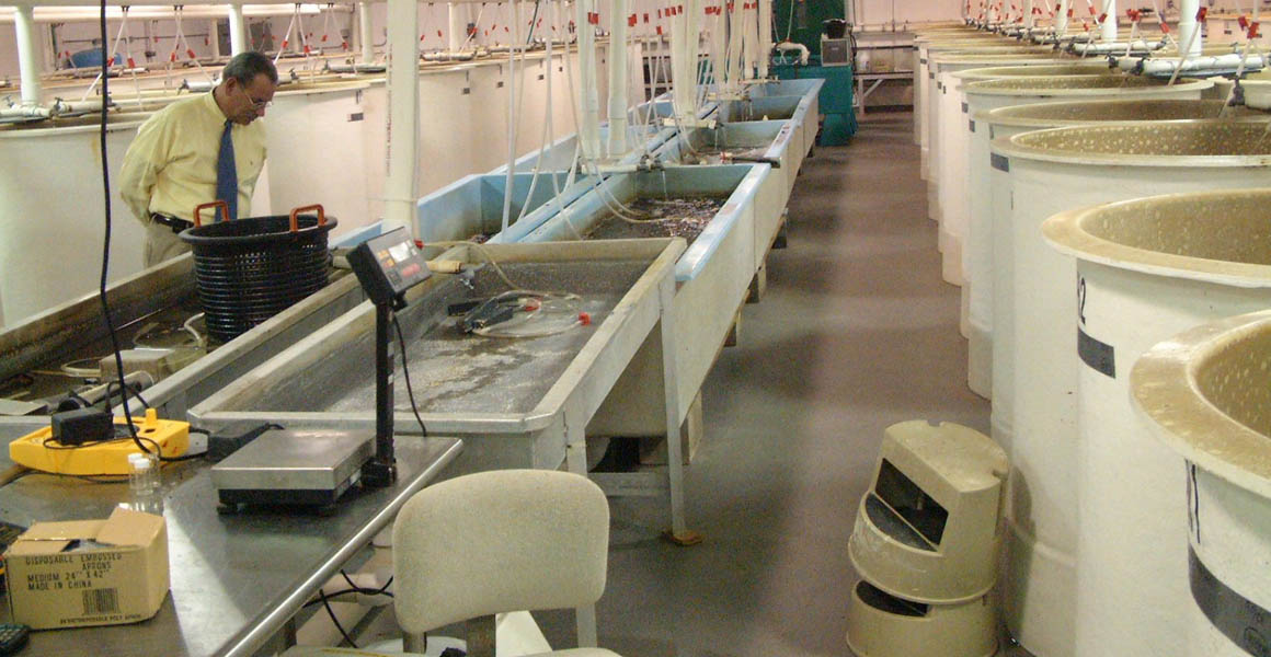 Photo of the USDA Hatchery